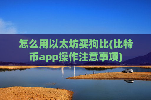 怎么用以太坊买狗比(比特币app操作注意事项)