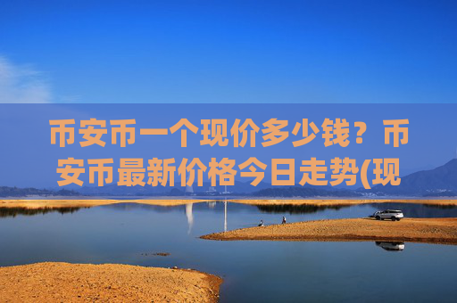 币安币一个现价多少钱？币安币最新价格今日走势(现价5338.63元)