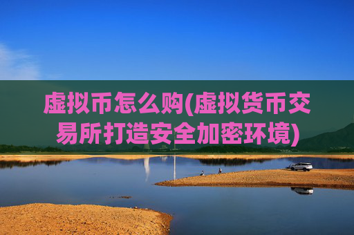 虚拟币怎么购(虚拟货币交易所打造安全加密环境)