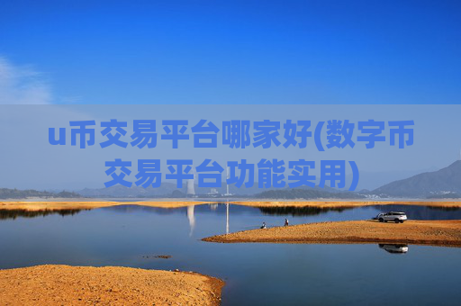 u币交易平台哪家好(数字币交易平台功能实用)