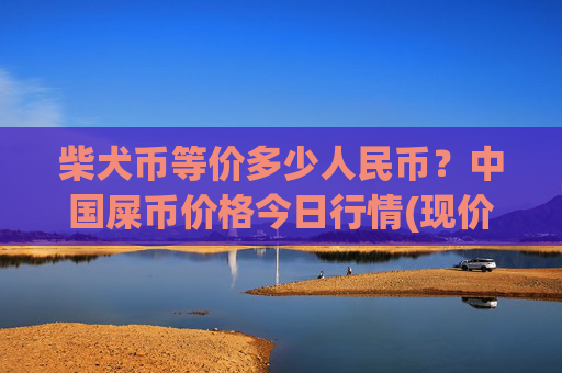 柴犬币等价多少人民币？中国屎币价格今日行情(现价0.00023104元)