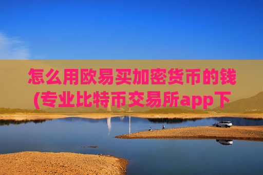 怎么用欧易买加密货币的钱(专业比特币交易所app下载)