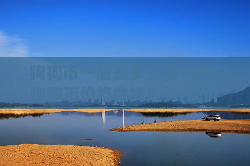 狗狗币一般是多少钱一个？狗狗币价格曲线走势(现价3.2433元)