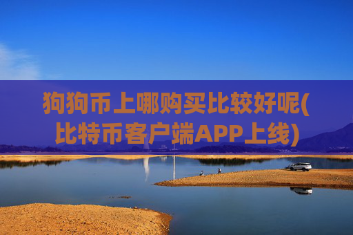 狗狗币上哪购买比较好呢(比特币客户端APP上线)