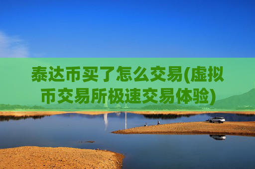 泰达币买了怎么交易(虚拟币交易所极速交易体验)