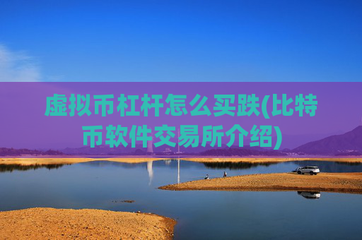 虚拟币杠杆怎么买跌(比特币软件交易所介绍)