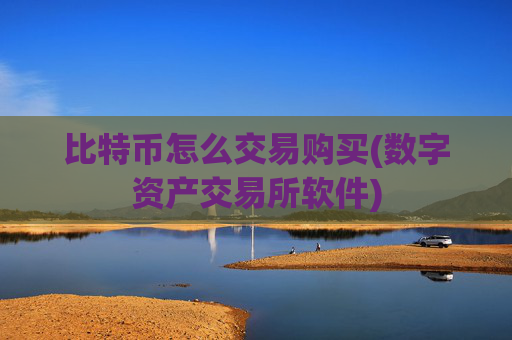 比特币怎么交易购买(数字资产交易所软件)