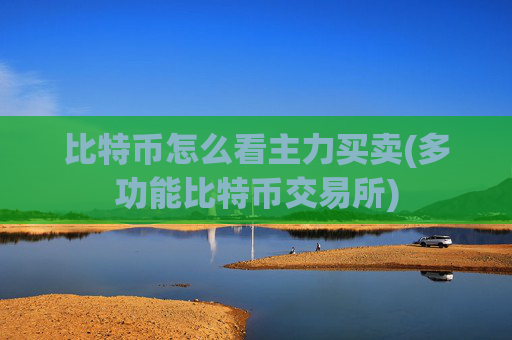 比特币怎么看主力买卖(多功能比特币交易所)