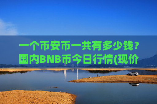 一个币安币一共有多少钱？国内BNB币今日行情(现价5354.1元)