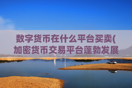 数字货币在什么平台买卖(加密货币交易平台蓬勃发展)