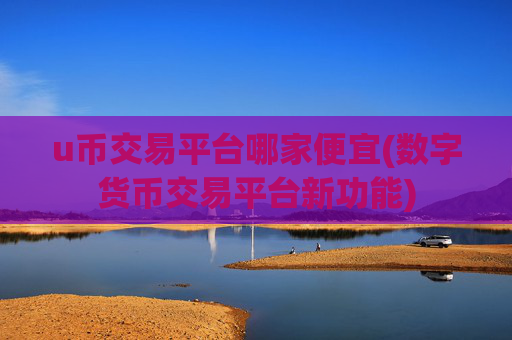 u币交易平台哪家便宜(数字货币交易平台新功能)