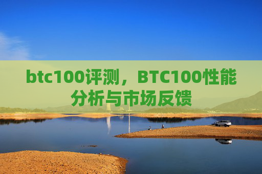 btc100评测,BTC100性能分析与市场反馈