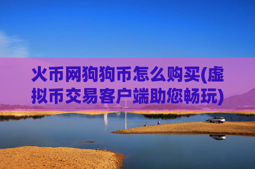 火币网狗狗币怎么购买(虚拟币交易客户端助您畅玩)