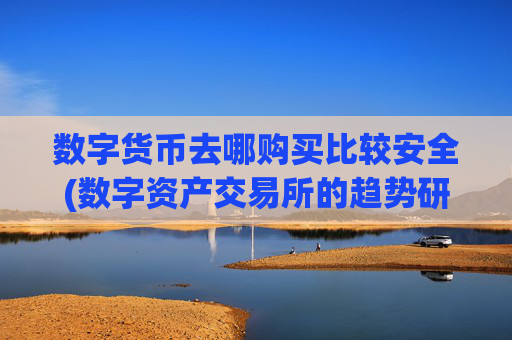 数字货币去哪购买比较安全(数字资产交易所的趋势研究)