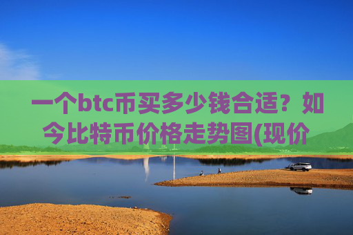 一个btc币买多少钱合适?如今比特币价格走势图(现价744369.17元)