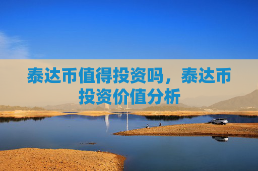 泰达币值得投资吗，泰达币投资价值分析