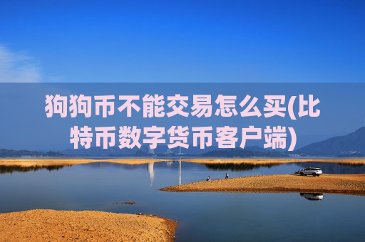 狗狗币不能交易怎么买(比特币数字货币客户端)