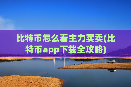 比特币怎么看主力买卖(比特币app下载全攻略)