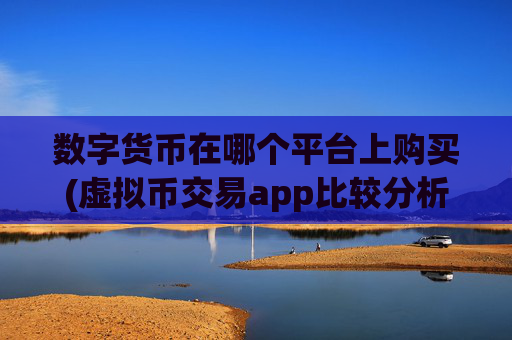 数字货币在哪个平台上购买(虚拟币交易app比较分析)