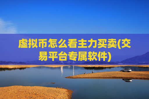 虚拟币怎么看主力买卖(交易平台专属软件)