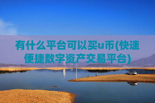 有什么平台可以买u币(快速便捷数字资产交易平台)