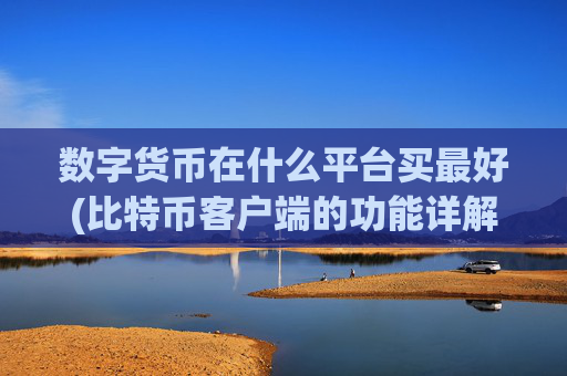 数字货币在什么平台买最好(比特币客户端的功能详解)