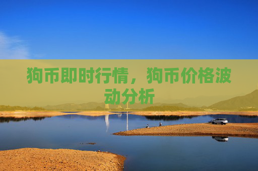 狗币即时行情，狗币价格波动分析