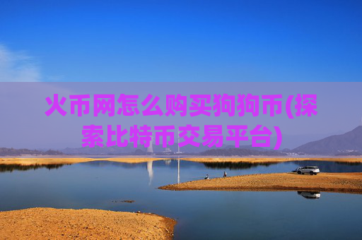 火币网怎么购买狗狗币(探索比特币交易平台)