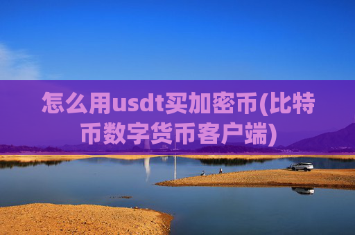 怎么用usdt买加密币(比特币数字货币客户端)