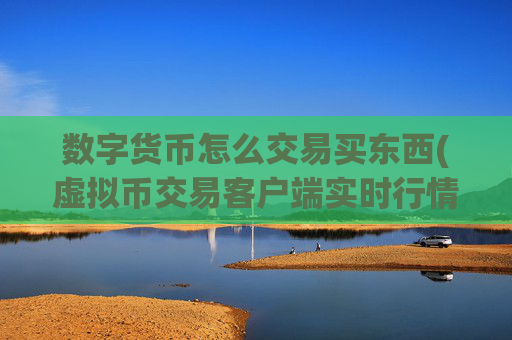 数字货币怎么交易买东西(虚拟币交易客户端实时行情)