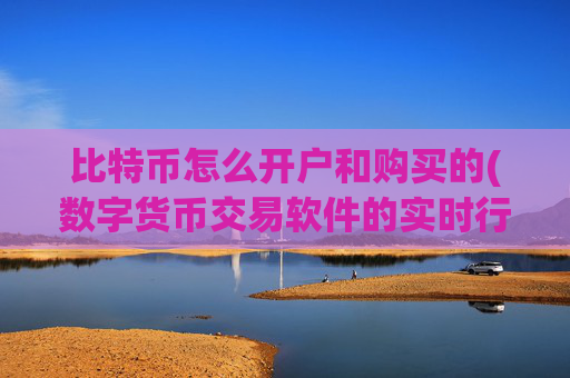 比特币怎么开户和购买的(数字货币交易软件的实时行情)
