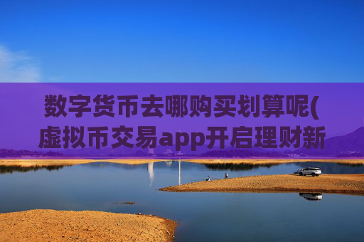 数字货币去哪购买划算呢(虚拟币交易app开启理财新篇章)