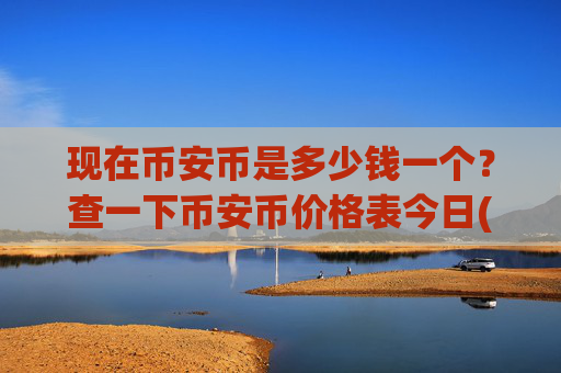 现在币安币是多少钱一个？查一下币安币价格表今日(现价5329.67元)