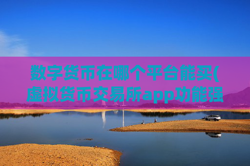 数字货币在哪个平台能买(虚拟货币交易所app功能强大)