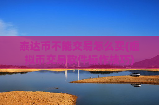 泰达币不能交易怎么买(虚拟币交易软件操作技巧)
