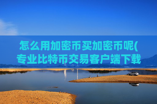 怎么用加密币买加密币呢(专业比特币交易客户端下载)