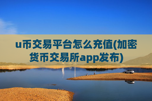 u币交易平台怎么充值(加密货币交易所app发布)
