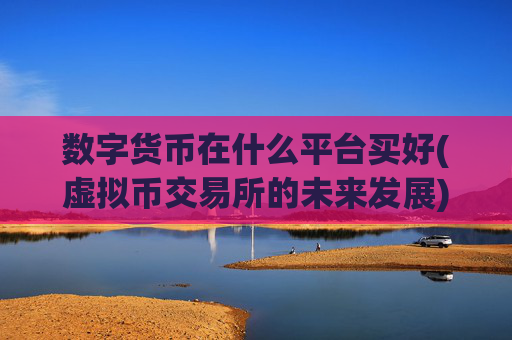 数字货币在什么平台买好(虚拟币交易所的未来发展)