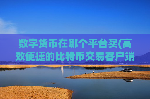 数字货币在哪个平台买(高效便捷的比特币交易客户端分享)