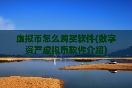 虚拟币怎么购买软件(数字资产虚拟币软件介绍)