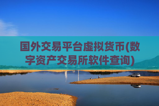 国外交易平台虚拟货币(数字资产交易所软件查询)