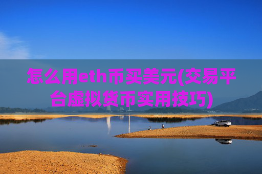 怎么用eth币买美元(交易平台虚拟货币实用技巧)
