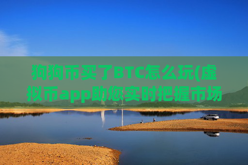 狗狗币买了BTC怎么玩(虚拟币app助您实时把握市场)