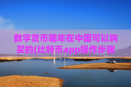数字货币哪年在中国可以购买的(比特币app操作步骤详解)
