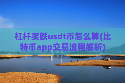 杠杆买跌usdt币怎么算(比特币app交易流程解析)
