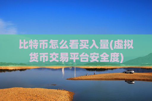 比特币怎么看买入量(虚拟货币交易平台安全度)