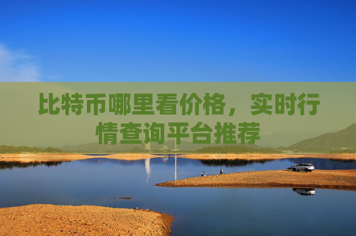 比特币哪里看价格，实时行情查询平台推荐