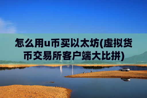 怎么用u币买以太坊(虚拟货币交易所客户端大比拼)