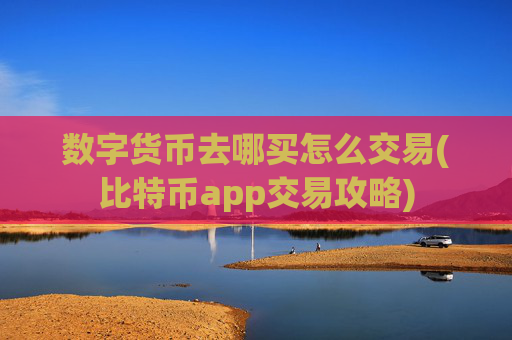 数字货币去哪买怎么交易(比特币app交易攻略)