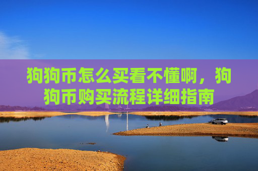 狗狗币怎么买看不懂啊,狗狗币购买流程详细指南
